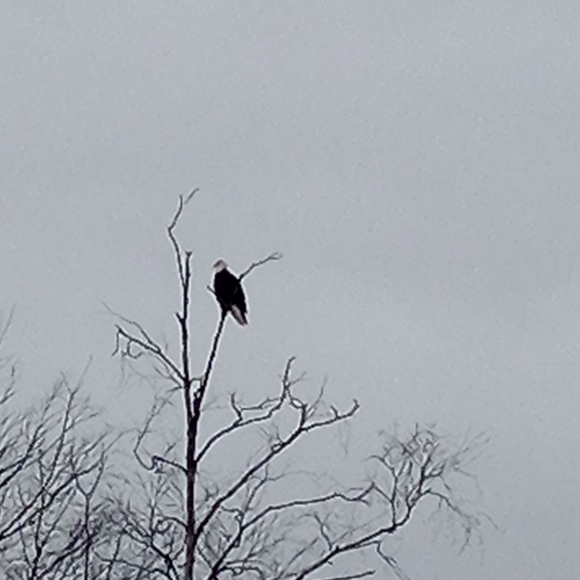 Meet your Posher - Picture 7 of 7